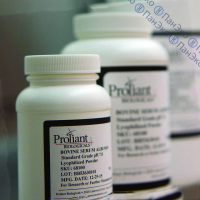 Альбумин бычий, 10 кг, Proliant Biologicals