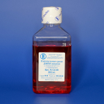 Среда DMEM с глутамином, содержание глюкозы 4,5 г/л, 500 мл, евро-ПЭТ