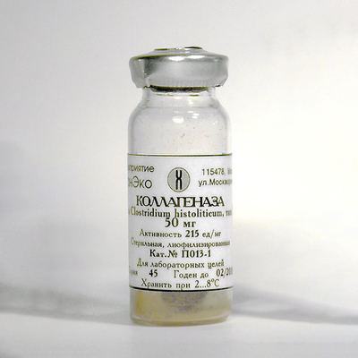 Collagenase (type 1), sterile, lyophilized